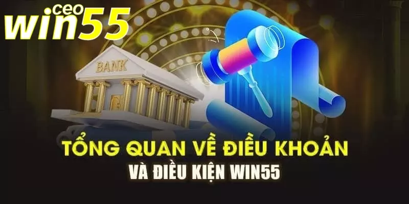 điều khoản và điều kiện