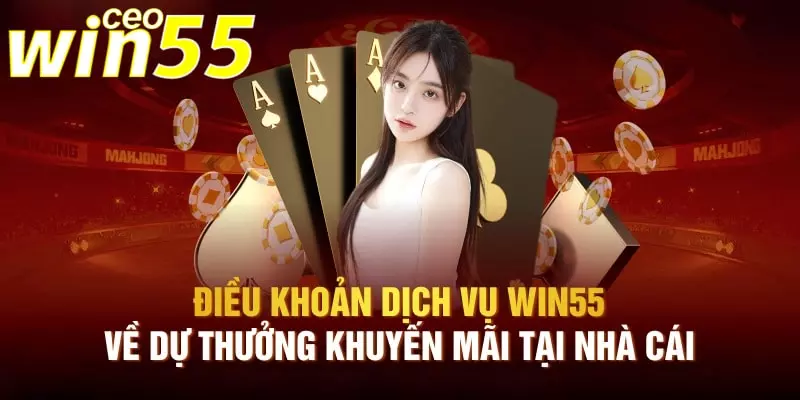 điều khoản và điều kiện