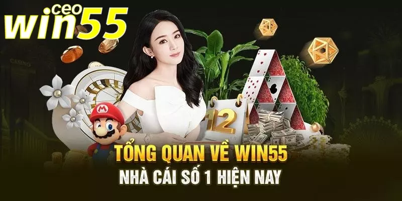 thông tin về chúng tôi