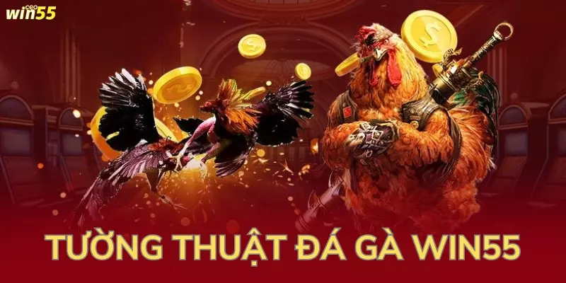 tuong thuat da ga win55 hinh dai dien